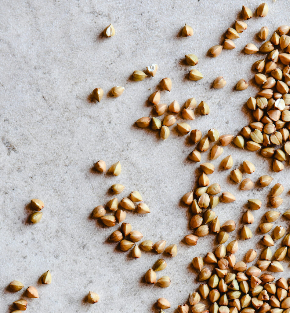 sprouted buckwheat
